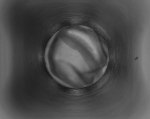 X0000100930277200807151251