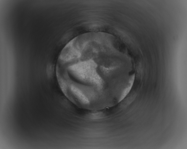 X0000100930278200807151251