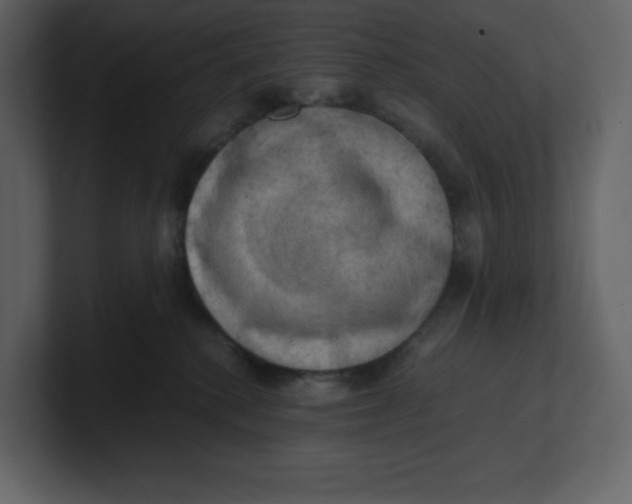 X0000100930280200807151251