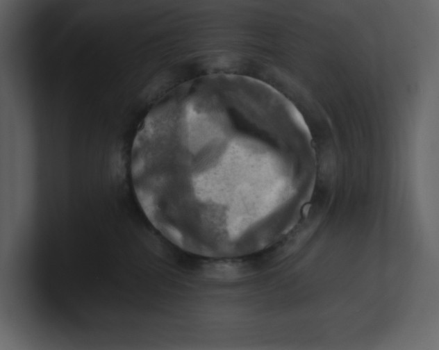 X0000100930282200807151251