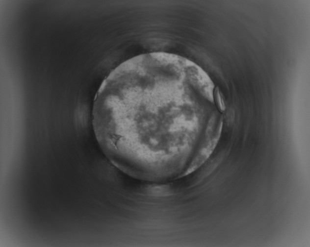 X0000100930283200807151251