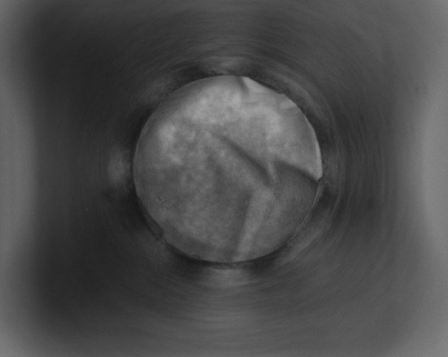 X0000100930284200807151251