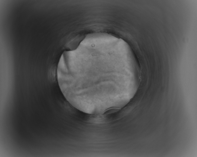 X0000100930288200807151251