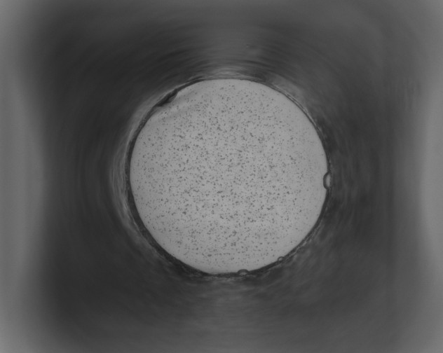 X0000100930289200807151250