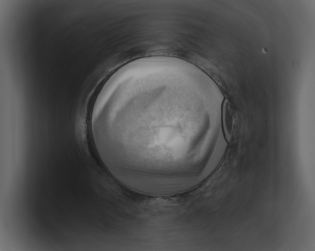 X0000100930290200807151250