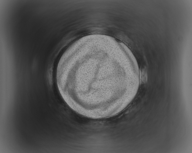 X0000100930291200807151250