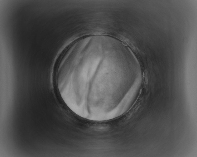 X0000100930292200807151250