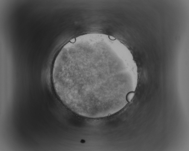 X0000100930293200807151250