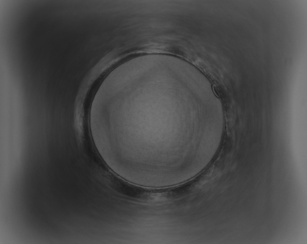 X0000100930295200807151250