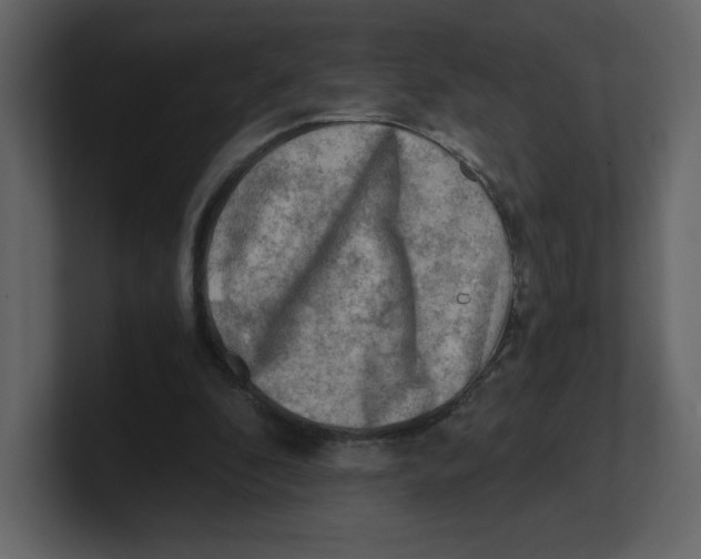 X0000100930296200807151250