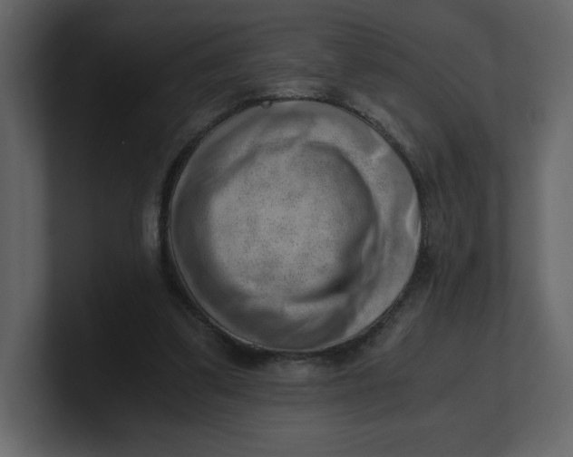 X0000100930299200807151250