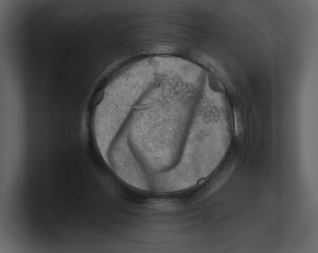 X0000100930300200807151250