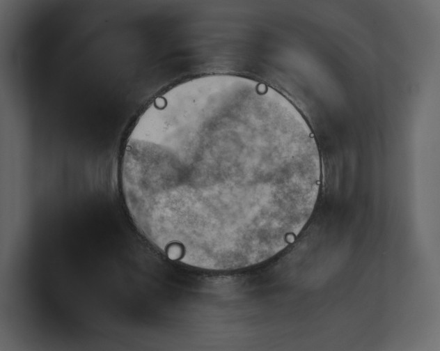 X0000100930301200807151250