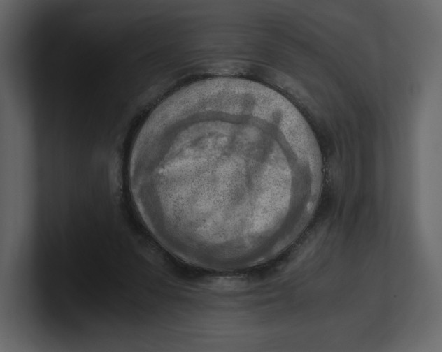 X0000100930303200807151250