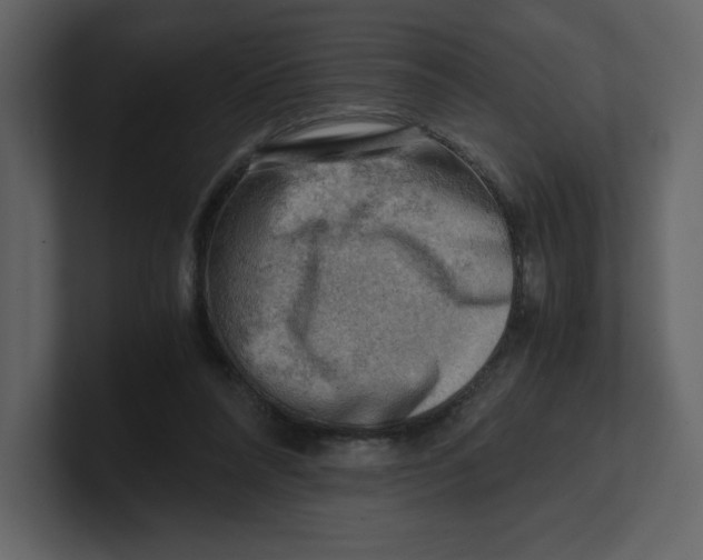 X0000100930304200807151250