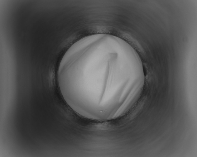 X0000100930306200807151250