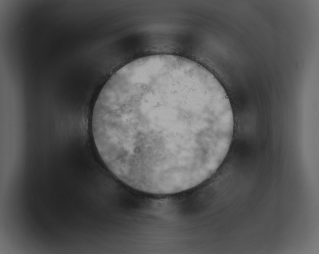 X0000100930309200807151250