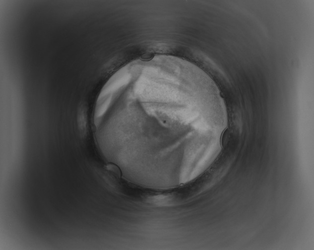 X0000100930312200807151250