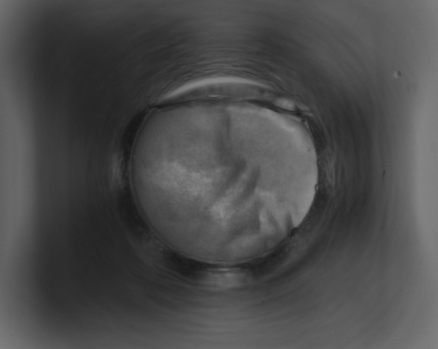 X0000100930316200807151250