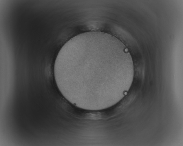 X0000100930317200807151250