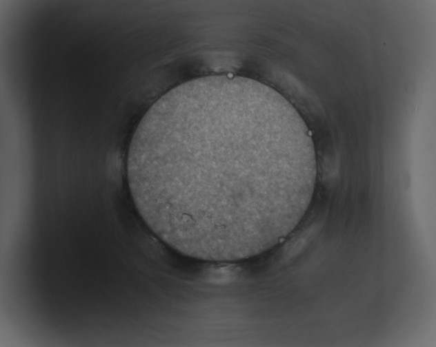 X0000100930321200807151250