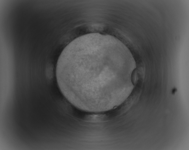 X0000100930323200807151250