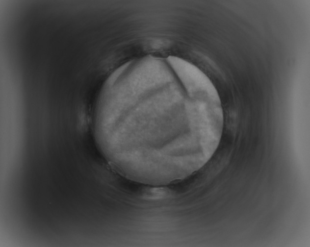 X0000100930324200807151250