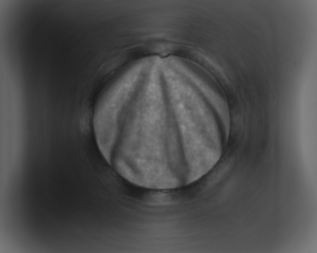 X0000100930325200807151250