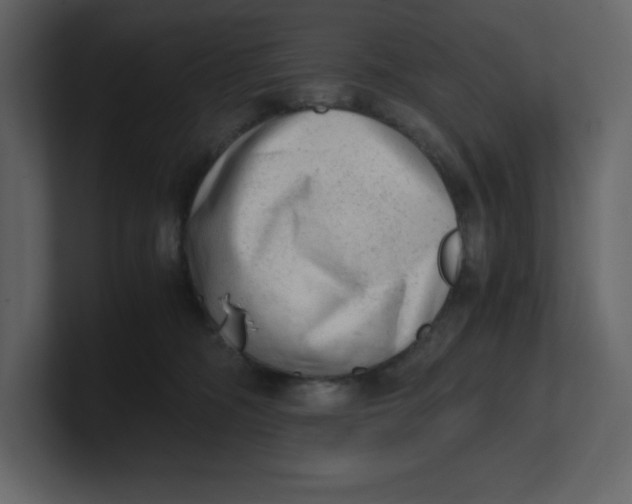 X0000100930326200807151250