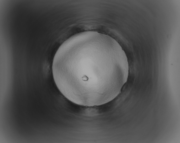 X0000100930327200807151250