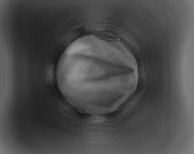 X0000100930328200807151250