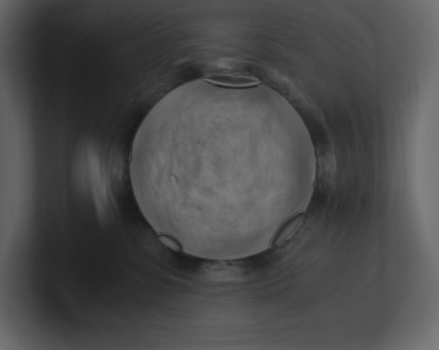 X0000100930331200807151250