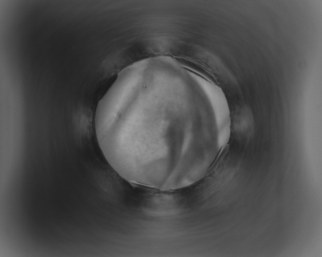 X0000100930332200807151249