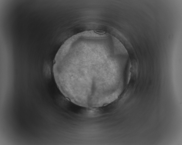 X0000100930333200807151249