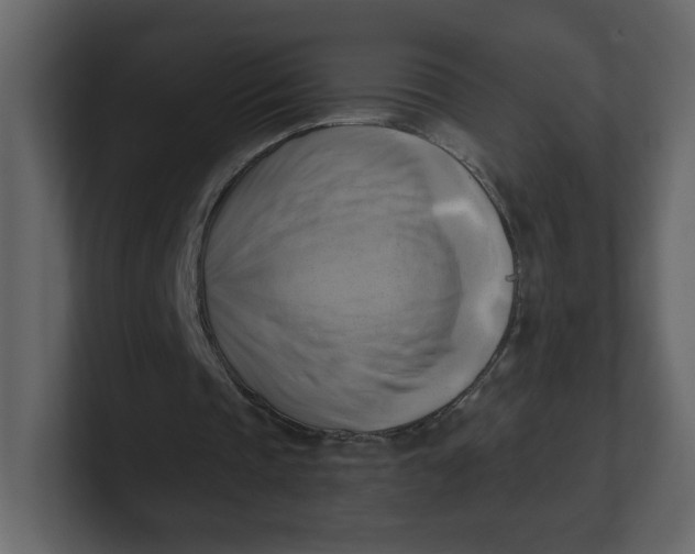 X0000100930337200807151249