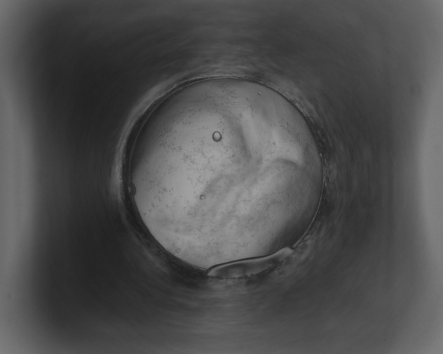 X0000100930340200807151249