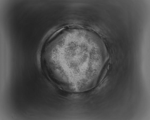 X0000100930341200807151249