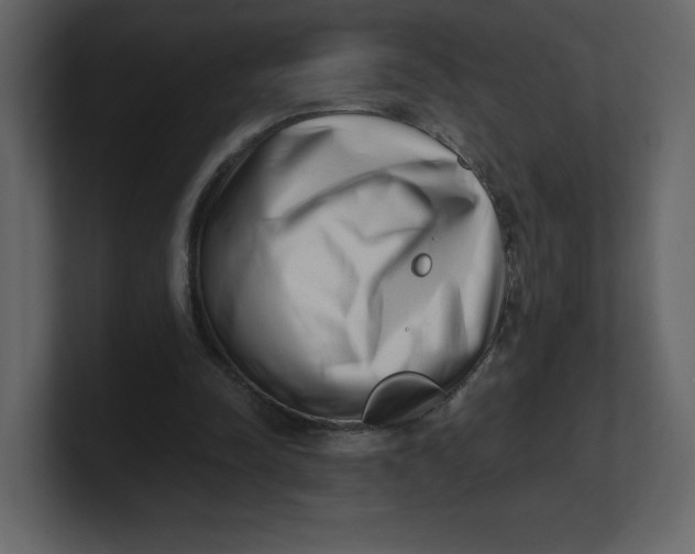 X0000100930342200807151249