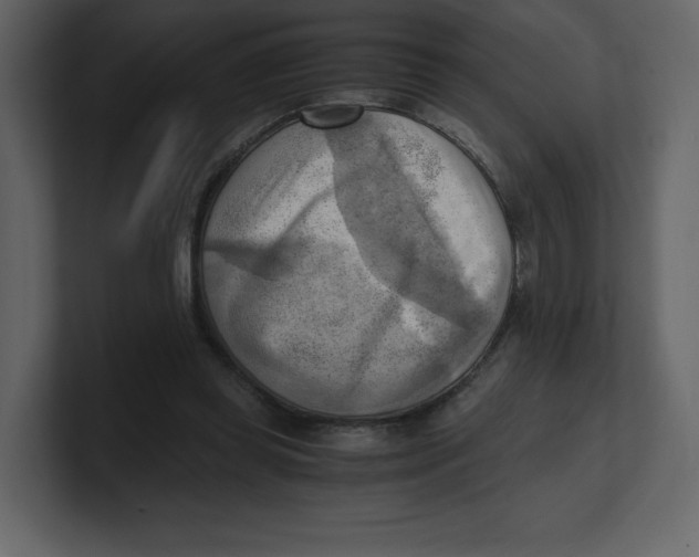 X0000100930349200807151249