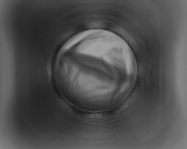 X0000100930353200807151249