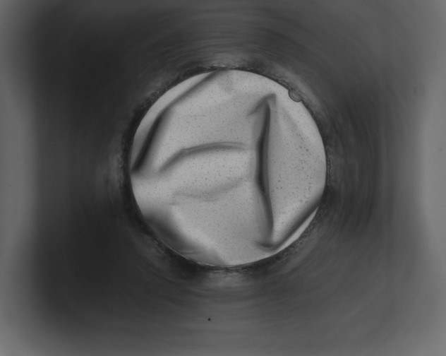 X0000100930354200807151249