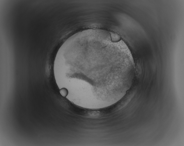 X0000100930355200807151249