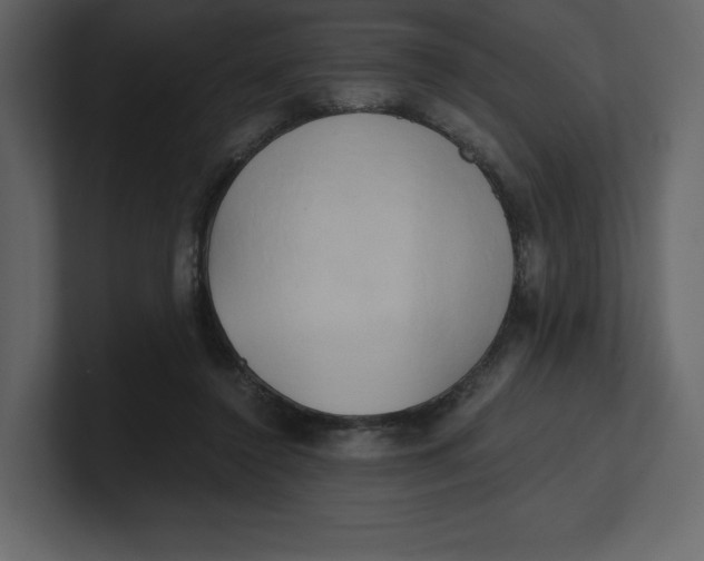 X0000100930356200807151249