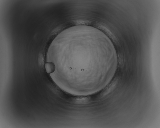 X0000100930357200807151249