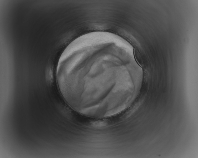 X0000100930358200807151249