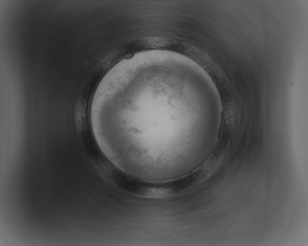 X0000100930360200807151249