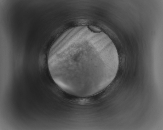 X0000100930361200807151249