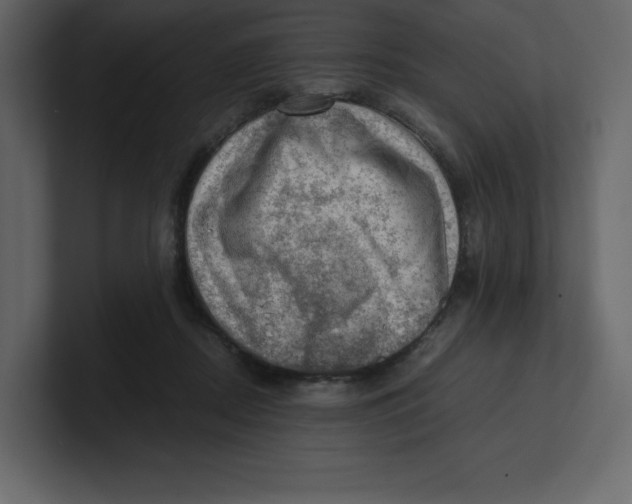 X0000100930362200807151249