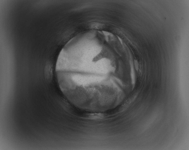 X0000100930363200807151249