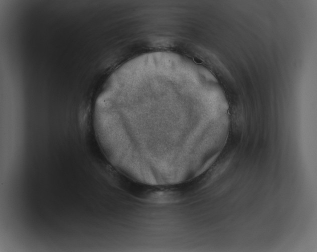 X0000100930364200807151249